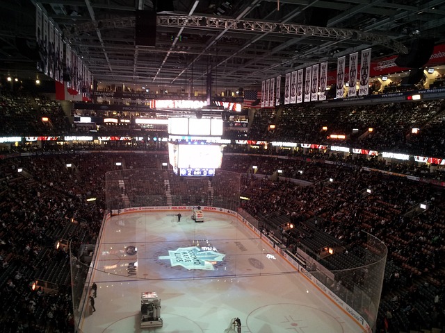 lední hokej toronto