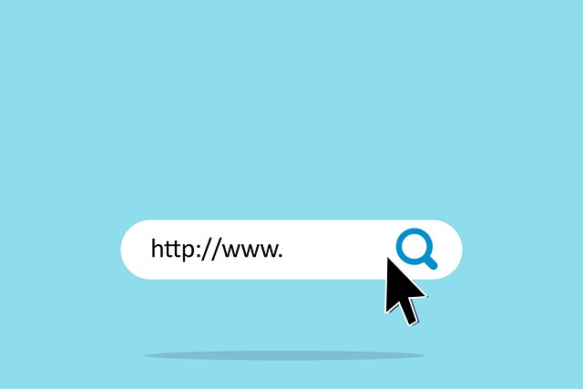 uživatel v procesu zadávání www adresy do vyhledávače