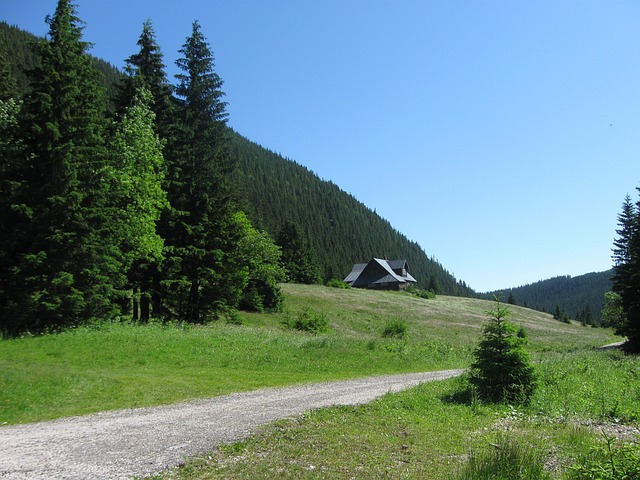 horské prostředí